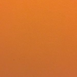 Meet your Posher, Cecilia